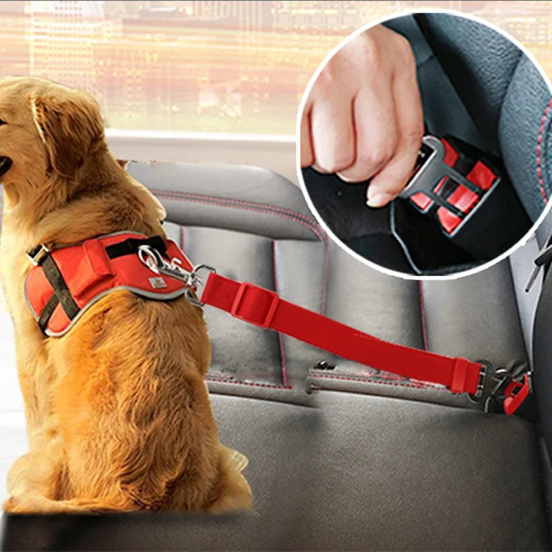 Pet car safety harness